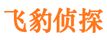 勐腊市侦探调查公司